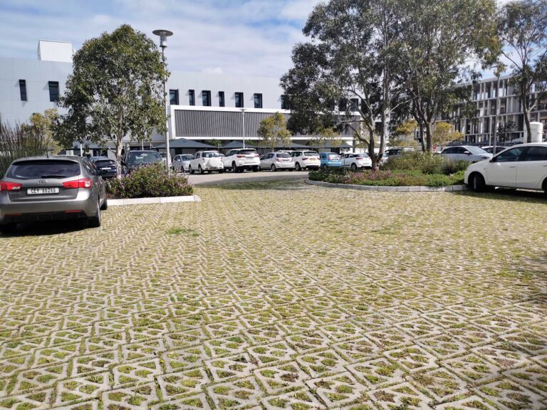 Commercial Paving Contractors: Expert Guide, Top Companies & What You Should Know